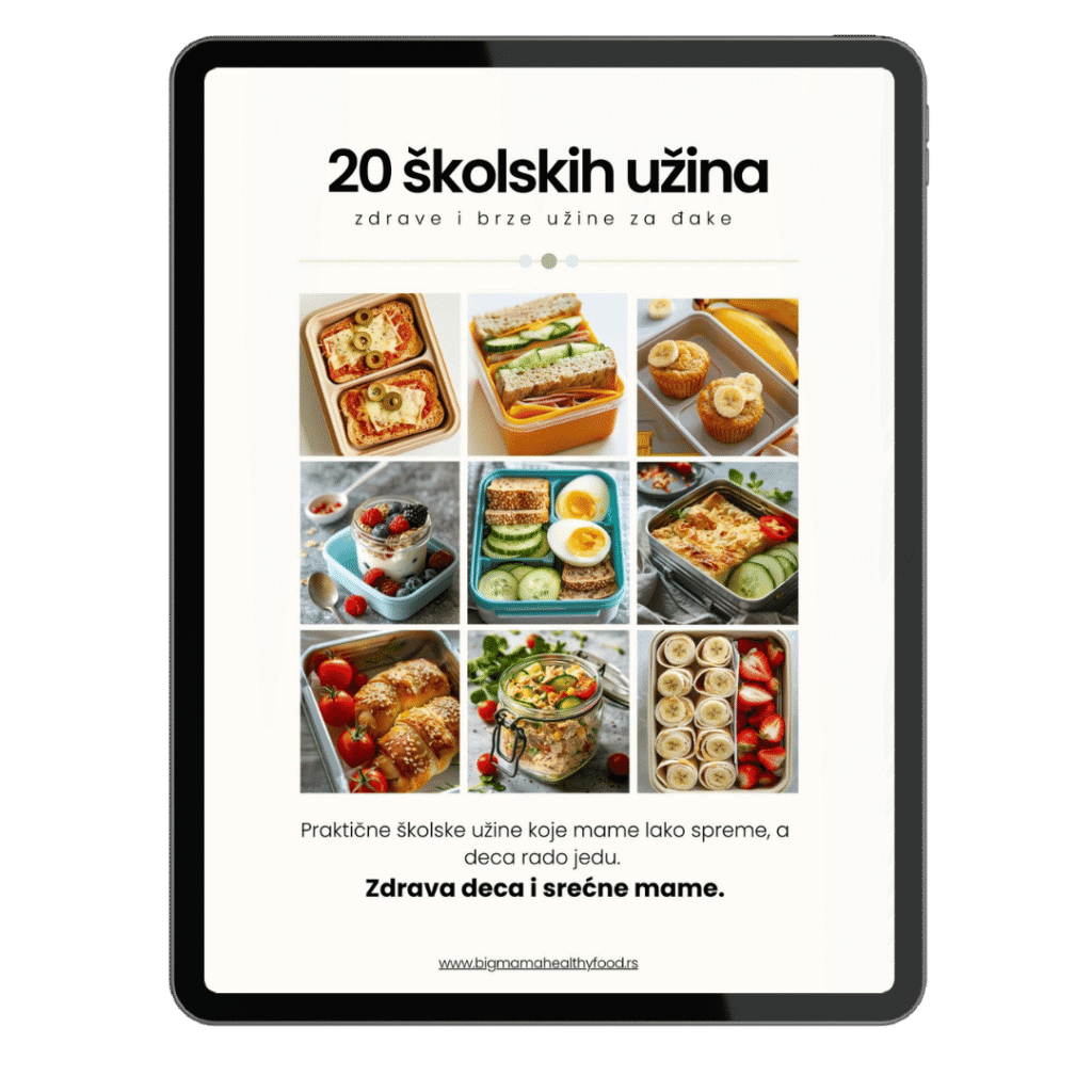 PDF priručnik 20 školskih užina