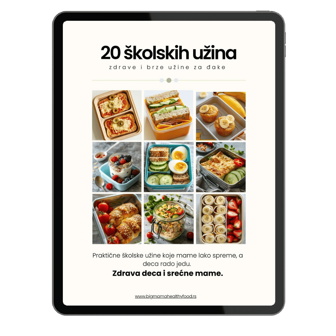 PDF priručnik 20 školskih užina